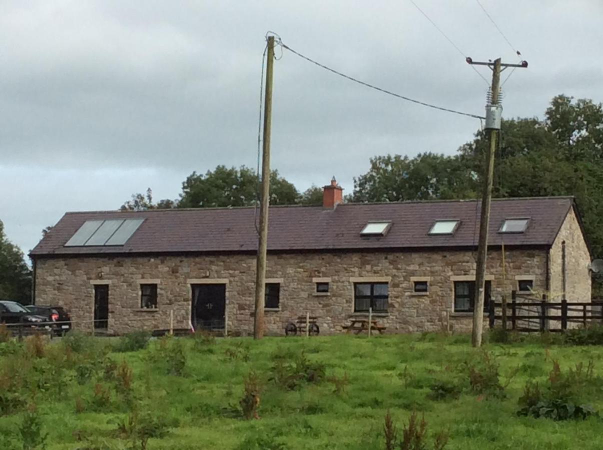 Rathgillen House Villa Nobber Exterior photo